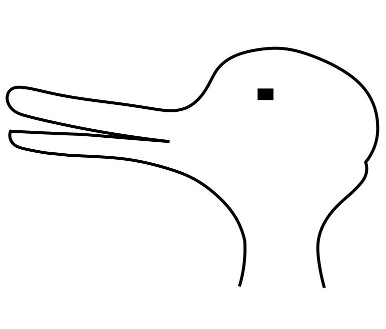 Hasen-Enten-Kopf